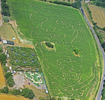 5 mins drive, 2.4 miles, GL14 1JU -  3 Themed Mazes 